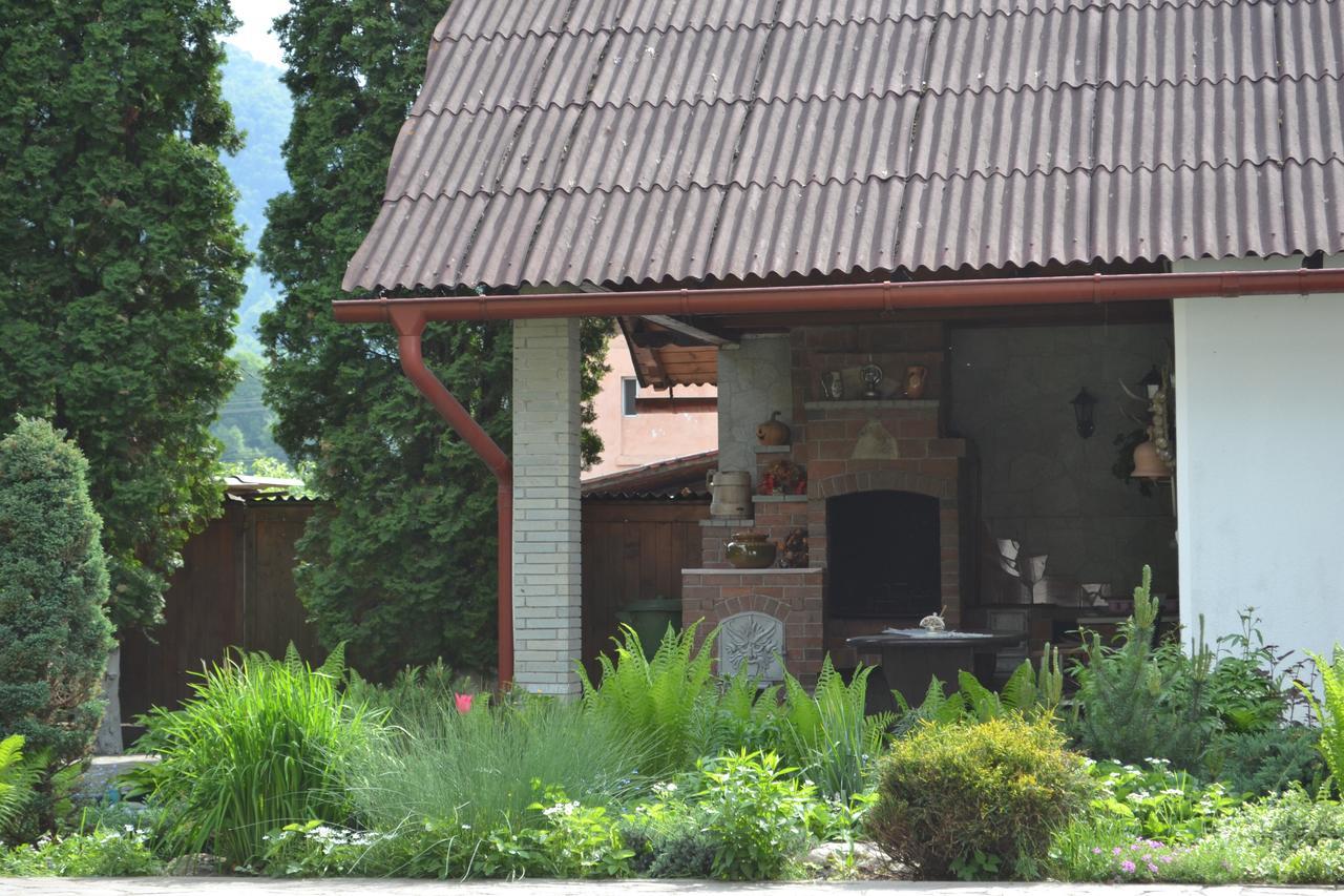 Casa Bota 호텔 Vişeu de Sus 외부 사진