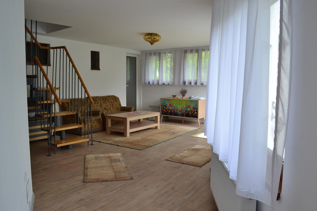 Casa Bota 호텔 Vişeu de Sus 외부 사진
