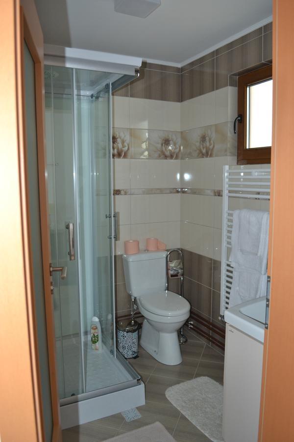 Casa Bota 호텔 Vişeu de Sus 외부 사진