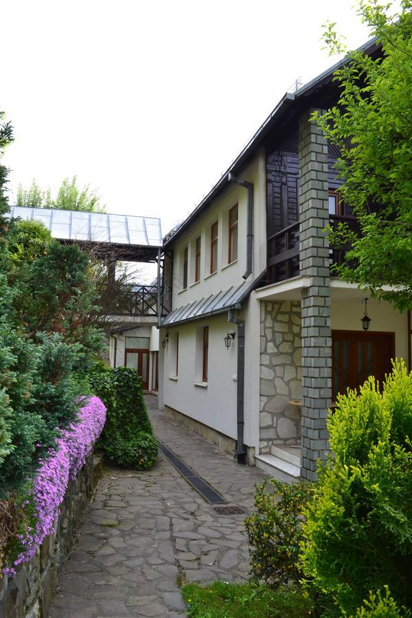 Casa Bota 호텔 Vişeu de Sus 외부 사진