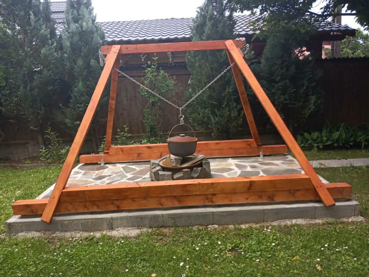 Casa Bota 호텔 Vişeu de Sus 외부 사진