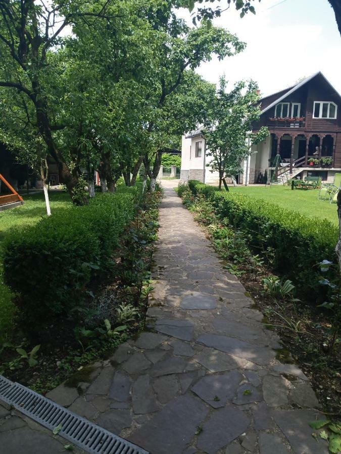 Casa Bota 호텔 Vişeu de Sus 외부 사진