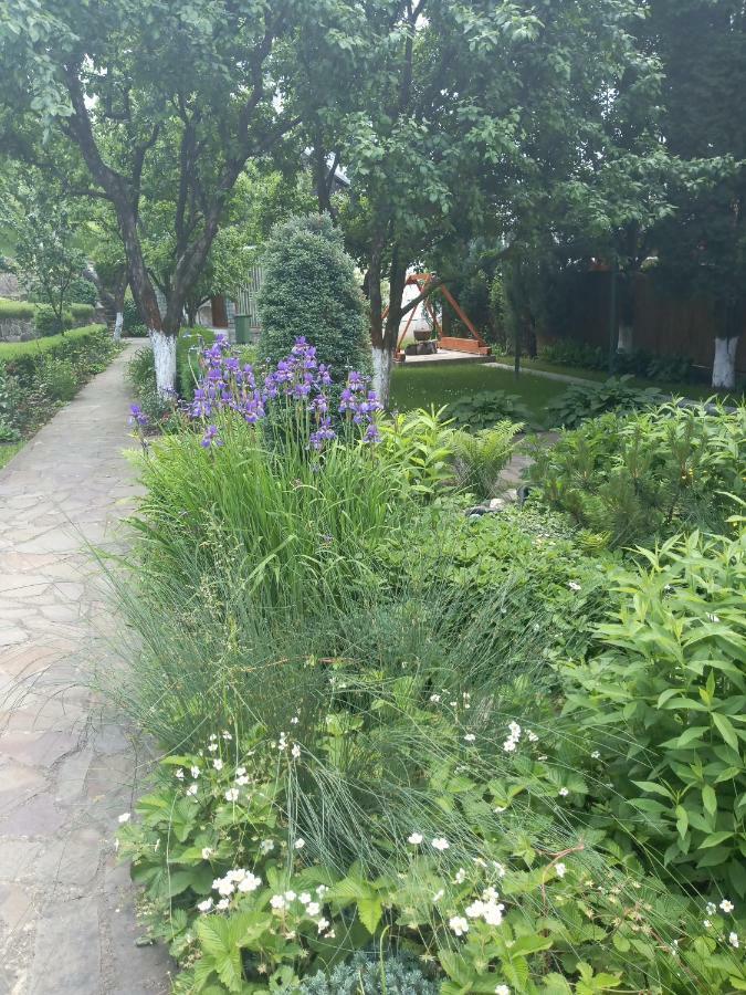 Casa Bota 호텔 Vişeu de Sus 외부 사진