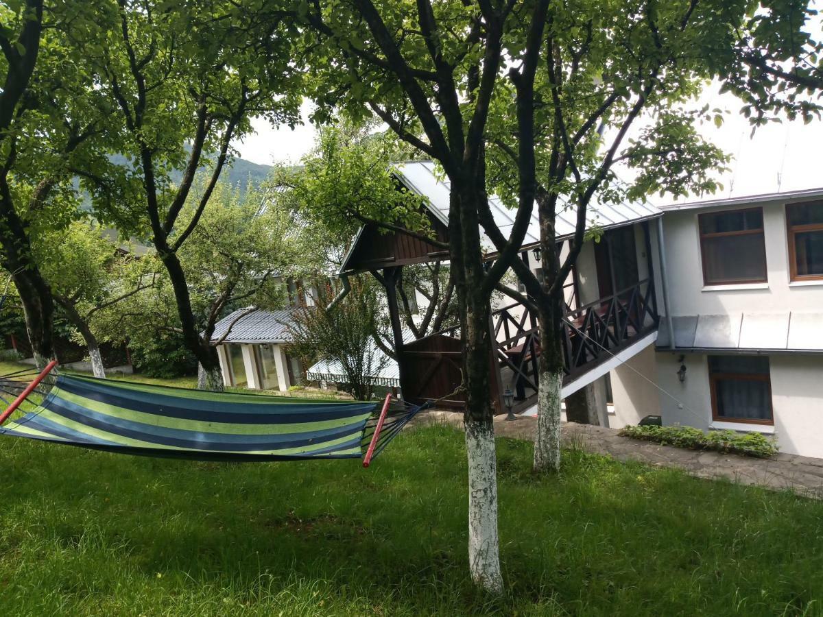 Casa Bota 호텔 Vişeu de Sus 외부 사진
